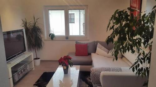 a living room with a couch and a tv at Pension Ferienwohnung Pirhofer in Kramsach