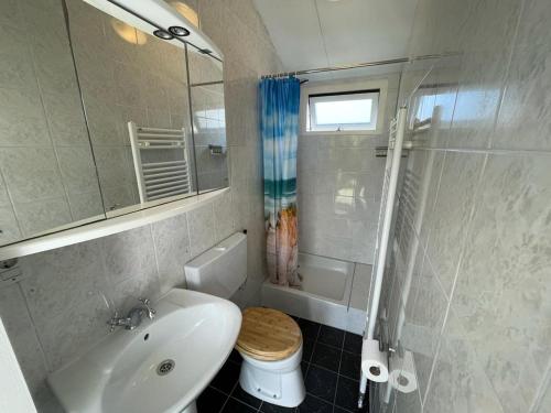 a bathroom with a toilet and a sink and a shower at Rekerlanden 253 in Schoorldam