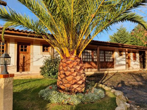 a palm tree in front of a house at Quinta do Vale Encantado "the Valley" - Santarém - Portugal in Calhariz
