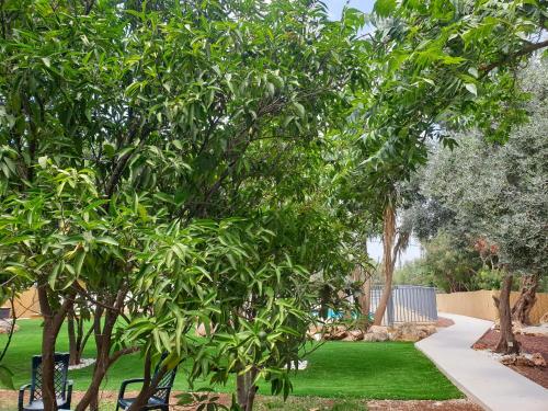 a park with green trees and a sidewalk at אירוח פינת חן in Ramot Naftali