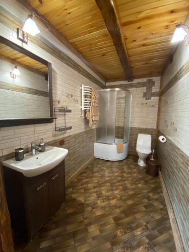 La salle de bains est pourvue d'un lavabo, d'une douche et de toilettes. dans l'établissement Sofiya, à Mykulychyn