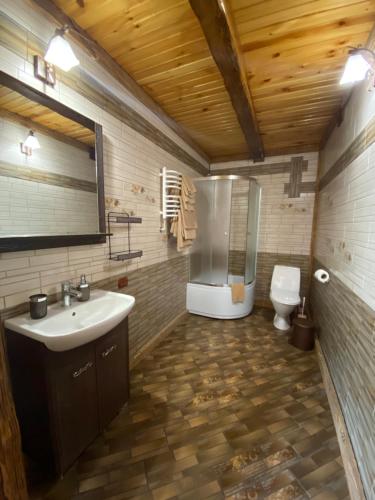 a bathroom with a sink and a shower and a toilet at Sofiya in Mykulychyn