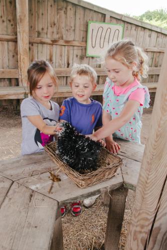 three children standing around a picnic table with a basket at Stonehenge Hostel in Amesbury