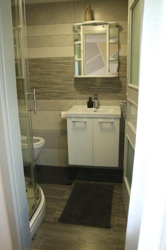 Kúpeľňa v ubytovaní Apartment Elize