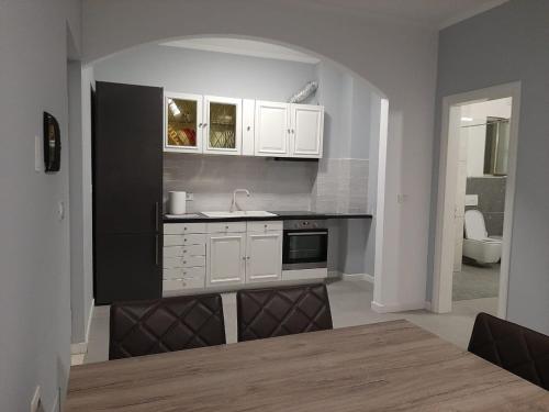 Kuchyň nebo kuchyňský kout v ubytování Junik Apartment