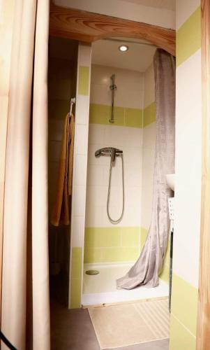La salle de bains est pourvue d'une douche et d'un rideau de douche. dans l'établissement - L'abri correzien - Cœur de cité médiévale, à Donzenac