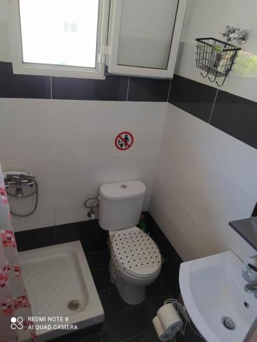 een kleine badkamer met een toilet en een wastafel bij Chez Effie in Kamena Vourla