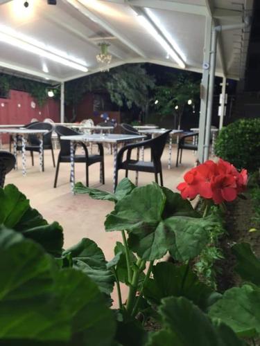 Restoran atau tempat lain untuk makan di Istanbul Yildiz Hotel