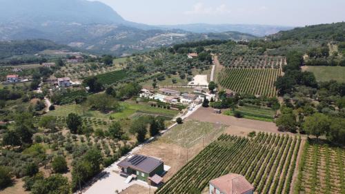 an aerial view of a vineyard with a house in the middle at Il Poggio degli Antichi Sapori - Residence in Paternopoli