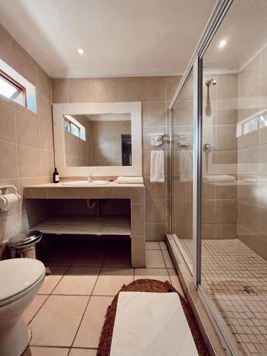 a bathroom with a shower and a sink and a toilet at Coco Lodge in Mthatha
