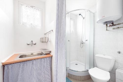 a bathroom with a sink and a toilet and a shower at Řadová chata Máchovo jezero, Staré splavy - Pod Borným in Staré Splavy