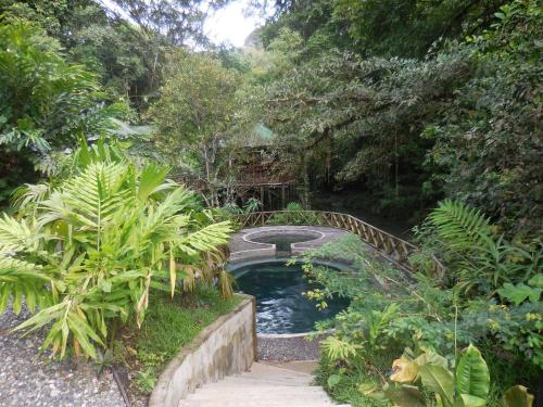 a small pool of water in a garden with trees at Hotel Nuquimar in Nuquí