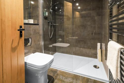 a bathroom with a toilet and a shower at The Duke on The Test in Romsey