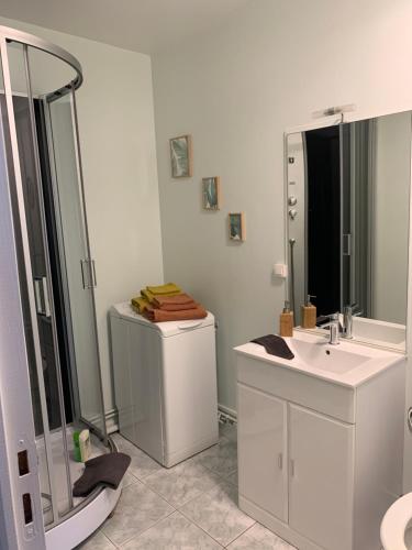 a bathroom with a shower and a sink and a mirror at Le Bailleux in Braine