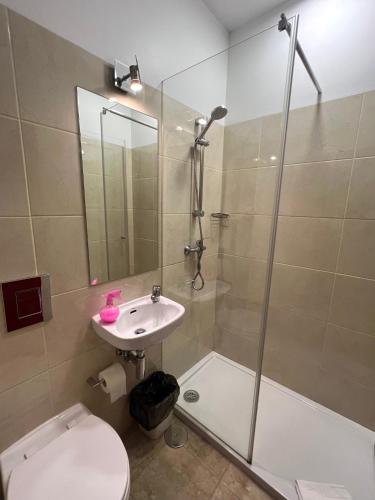 a bathroom with a shower and a sink and a toilet at Abrigo do Portinho in Vila Praia de Âncora