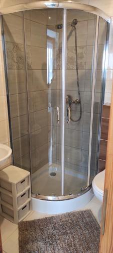 a shower in a bathroom with a sink and a toilet at U Ani in Poronin
