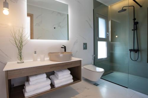 ein Bad mit einem Waschbecken, einem WC und einer Dusche in der Unterkunft villa-agrielia in Nikiana