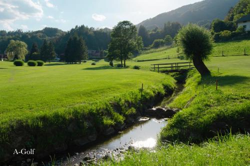 a creek in a field next to a green field at Apartments with Private Saunas & WELLNESS Gobi in Podčetrtek