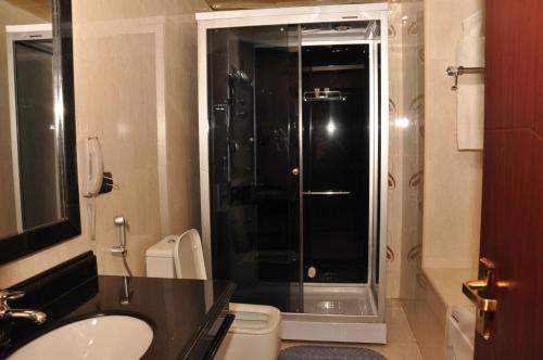 a bathroom with a shower and a sink and a toilet at Friendship International Hotel in Addis Ababa