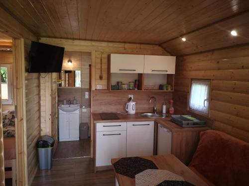 a kitchen with white cabinets and a sink in a cabin at Zielona Dolina Hoczew in Hoczew