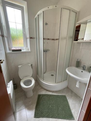 a bathroom with a shower and a toilet and a sink at Chalupa RAMZOVKA in Ramzová