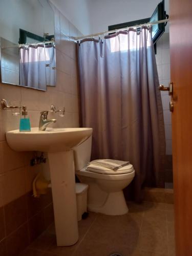 a bathroom with a sink and a toilet and a shower at Flisvos Apartments in Megalochori