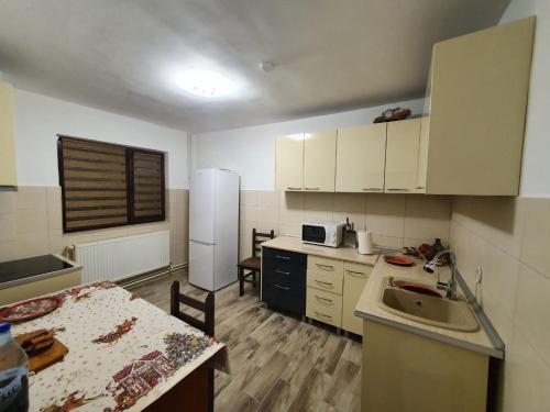 a kitchen with a sink and a table and a refrigerator at Pensiunea Solca in Solca