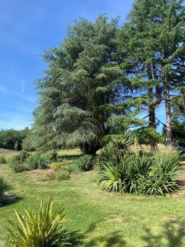 Photo de la galerie de l'établissement La longère de Mathilde, à Manneville-la-Pipard