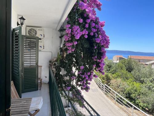 Apartment Ana