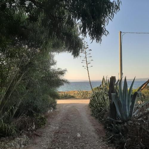Casa Agave – Photos 2