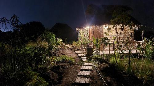 Κήπος έξω από το Việt Mekong Farmstay