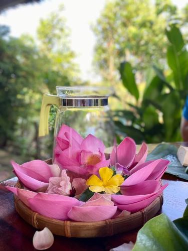 Κήπος έξω από το Việt Mekong Farmstay