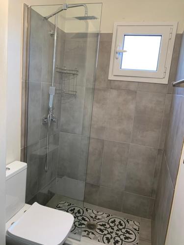 a bathroom with a shower with a toilet and a window at Condillia Central in Spetses