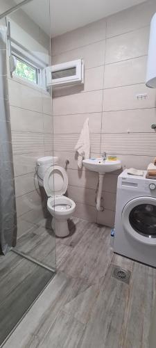 uma casa de banho com um WC e um lavatório em Home of Laurel em Kotor