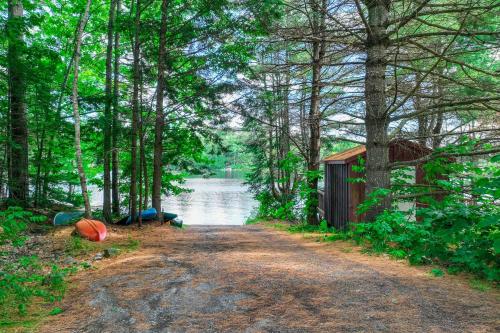 a dirt road next to a river with trees at Falling Pines in Readfield