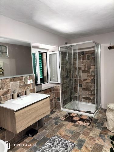 ein Bad mit einer Dusche und einem Waschbecken in der Unterkunft Chianti wood in Gaiole in Chianti