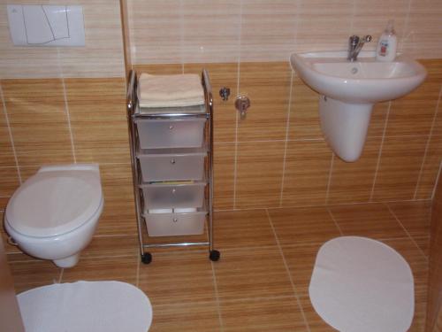 a bathroom with a toilet and a sink at Apartmán Janoušek in Humpolec