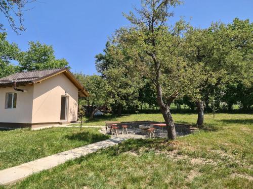 una casa con una mesa de picnic y un árbol en Mountain View 2 - ciubar en Cîmpulung