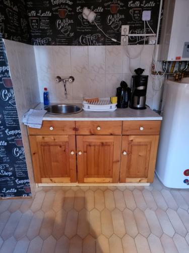 a kitchen with a sink and a refrigerator at Doppelzimmer in Harkány