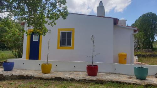 una pequeña casa con cuatro macetas de colores delante de ella en Sondela Self Catering, en São Martinho do Porto