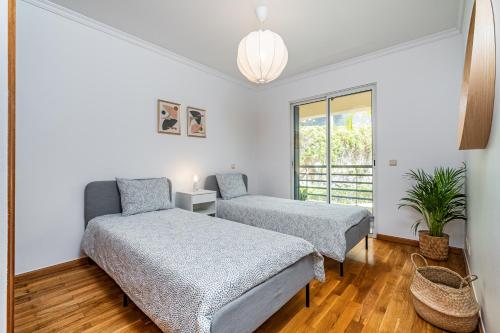 een slaapkamer met 2 bedden en een potplant bij Lovely apartment at the best location in Funchal in Funchal
