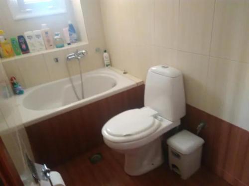 a bathroom with a white toilet and a bath tub at Garden Of Olive Trees in AsfendhilÃ©s