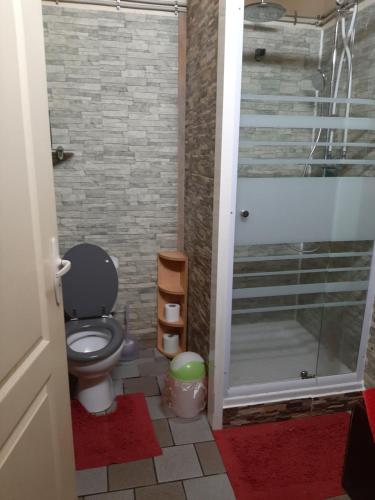 a bathroom with a toilet and a walk in shower at La Brise in Étang-Salé les Bains