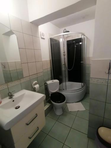 a bathroom with a shower and a toilet and a sink at USTRONIE in Zgierz
