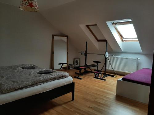 普日布拉姆的住宿－Apartmán Dvořák 194 pod Svatou horou，一间卧室配有一张床、镜子和窗户