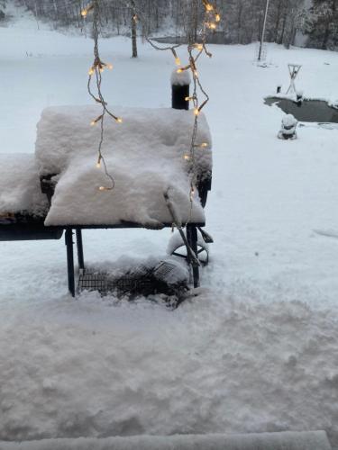 a park bench covered in snow with christmas lights at Sjöutsikt, Röd trästuga med traditionellt yttre Skandinavisk, modernt inre och alla bekvämligheter, Sol hela dagen på stora altanen, Tryggt, Vinterbonat, Fiske, Båt in Skinnskatteberg