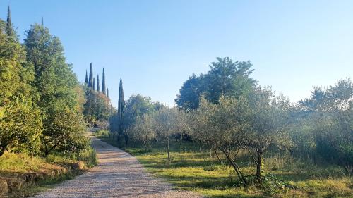 un chemin de terre avec des arbres de chaque côté dans l'établissement Little Brioni, à Sečovlje