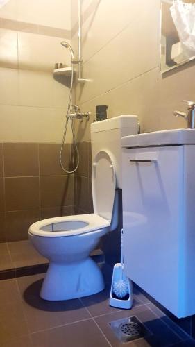 a bathroom with a white toilet and a shower at Little Brioni in Sečovlje