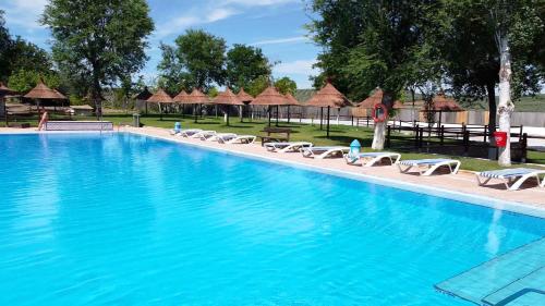 una gran piscina con tumbonas y sombrillas en Aparthotel El Cañuelo en Monturque