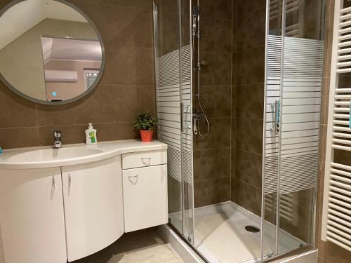 uma casa de banho com um chuveiro, um lavatório e um espelho. em Maria Vendéghaz em Mernye